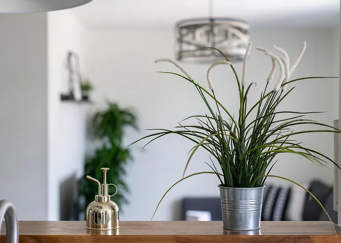 Holiday home Jungle House Luxury - Downtown Short North